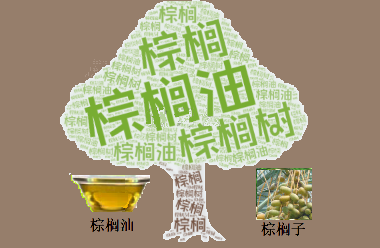 4470林吉特失守！棕榈油多空博弈进入“