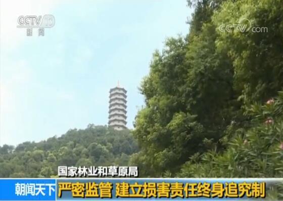 国家林业和草原局：升级天然林保护 守住绿水青山(2)