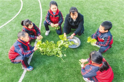一名乡村教师的坚守(6)